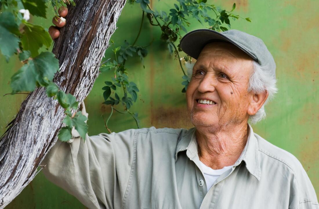 old man holding the branch of tree